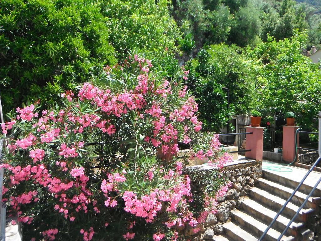 Dimitris Apartments Vasiliki Exterior foto
