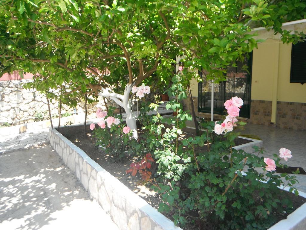 Dimitris Apartments Vasiliki Exterior foto