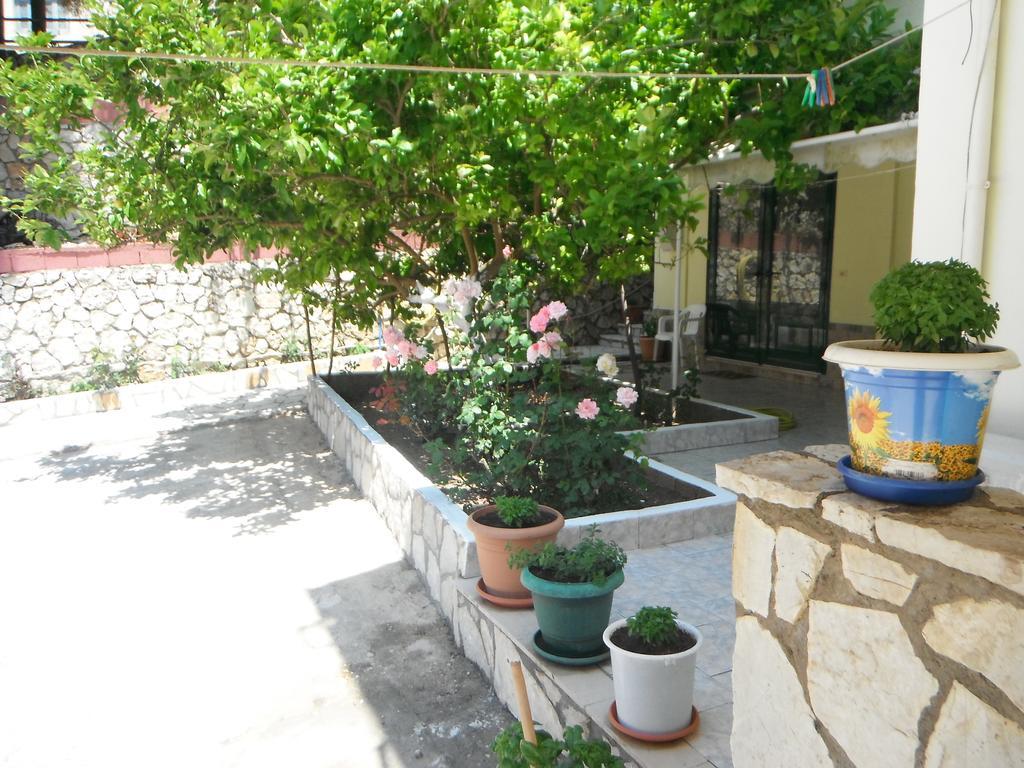 Dimitris Apartments Vasiliki Exterior foto